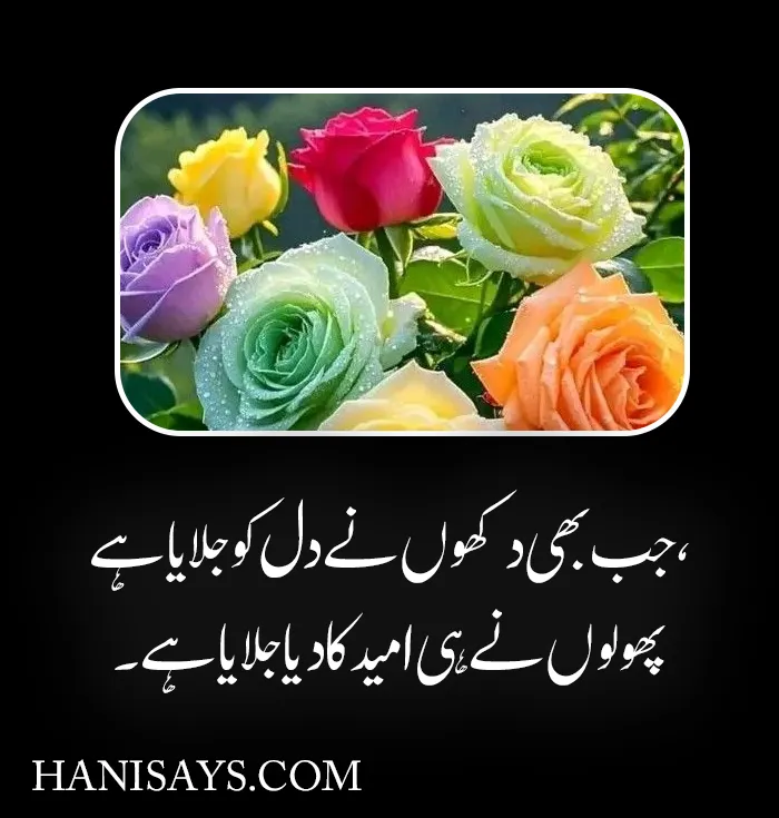 Beautiful Flower Poetry in Urdu