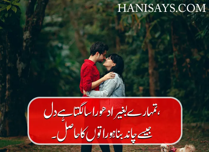 Best 2 Lines Poetry in Urdu Text