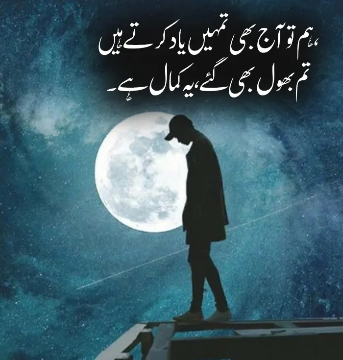 Heart Touching Sad Shayari in Urdu