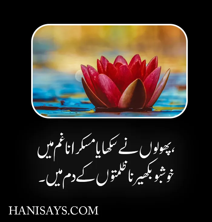 Life & Nature Flower Poetry in Urdu