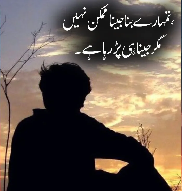 Love Sad Shayari in Urdu