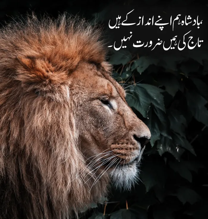 Royal Attitude Shayari in Urdu