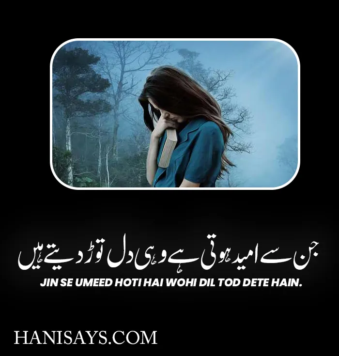 Sad One Line Urdu Shayari