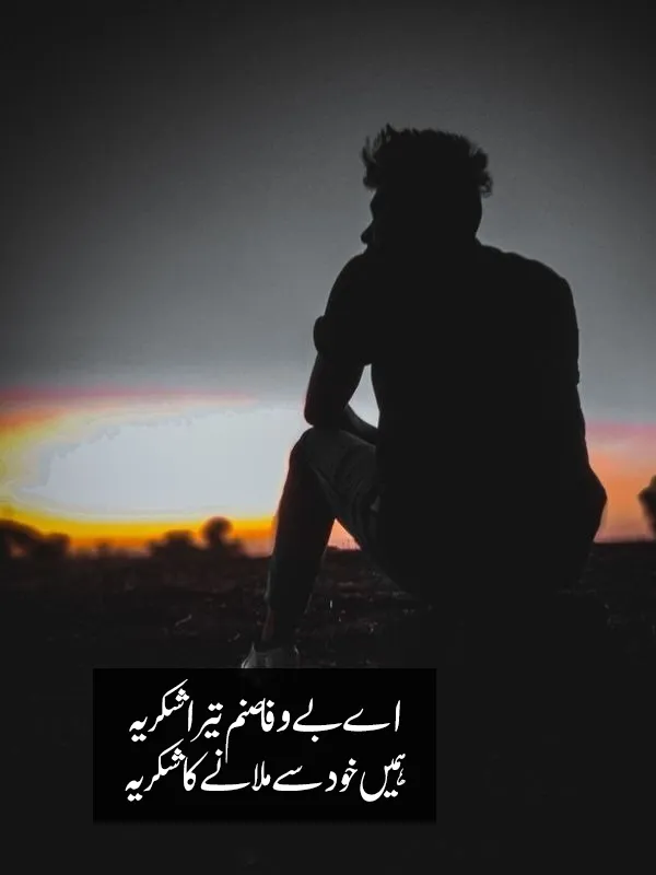 Bewafa Sanam Poetry
