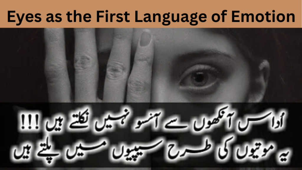 Eyes as the First Language of Emotion