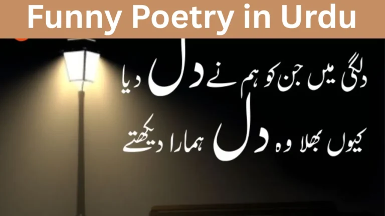 Funny Poetry in Urdu