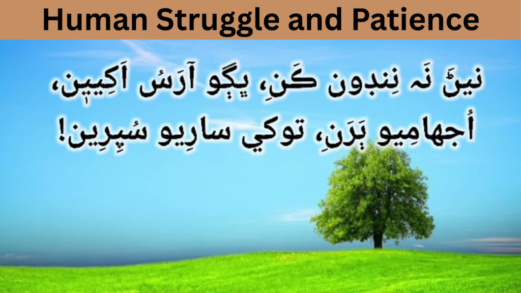 Human Struggle and Patience