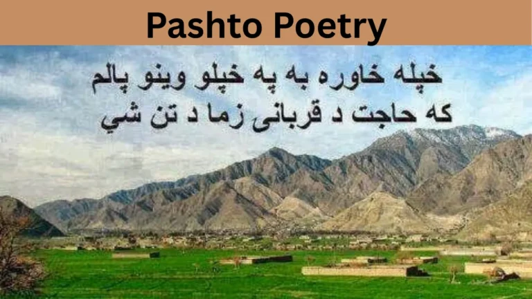 Pashto Poetry