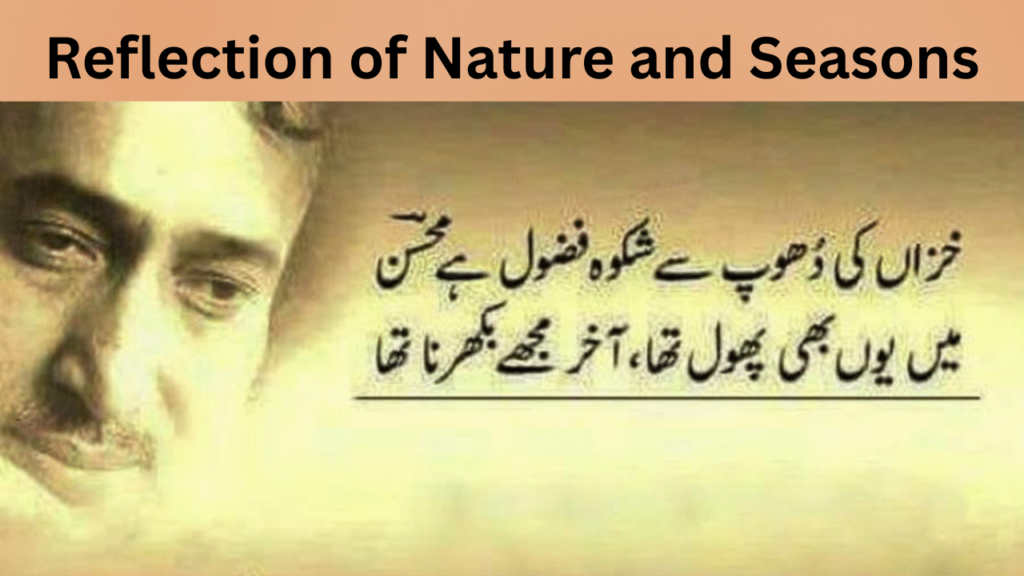 Reflection of Nature and Seasons