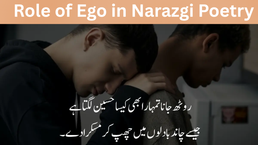 Role of Ego in Narazgi Poetry