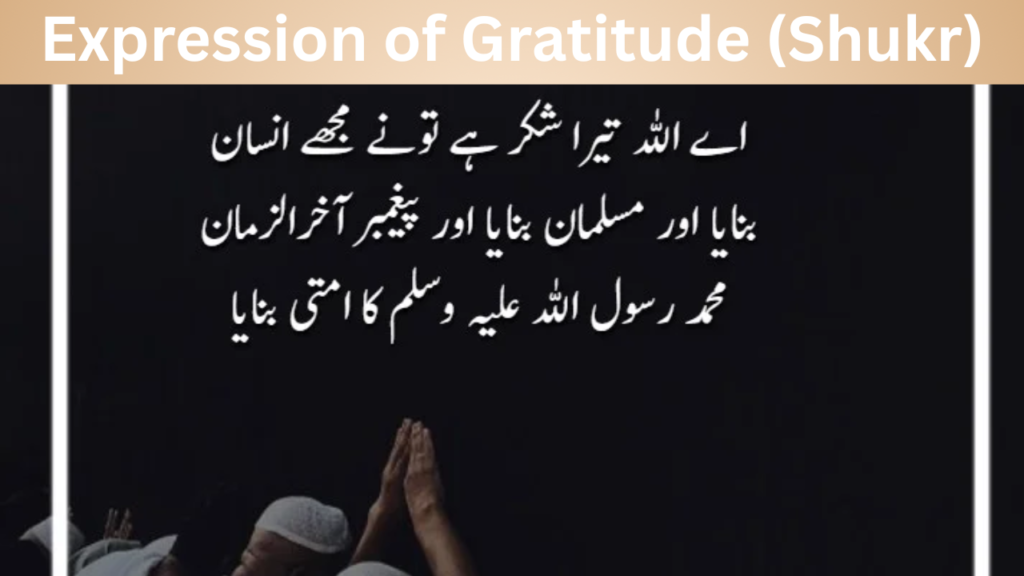 Expression of Gratitude (Shukr)
