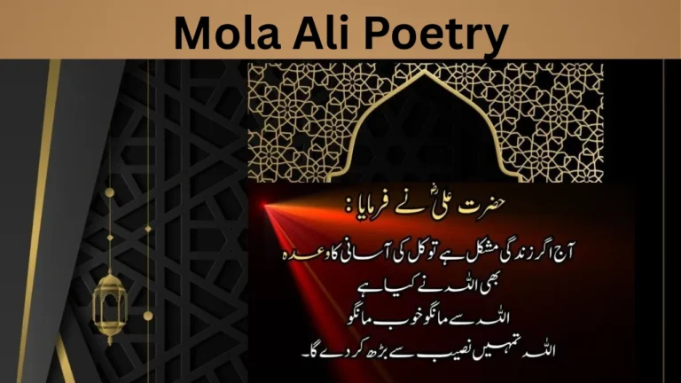 Mola Ali Poetry