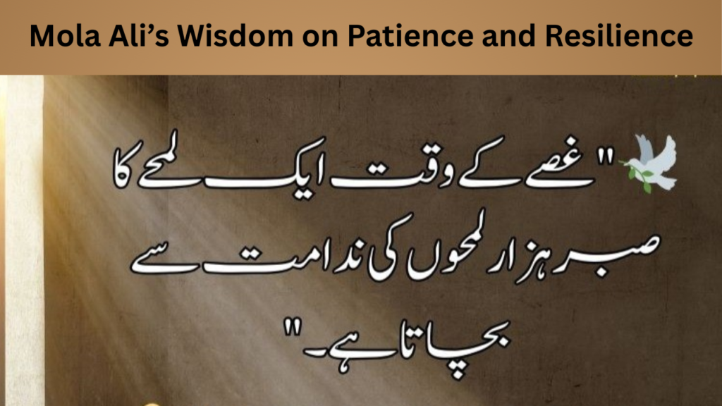 Mola Ali’s Wisdom on Patience and Resilience