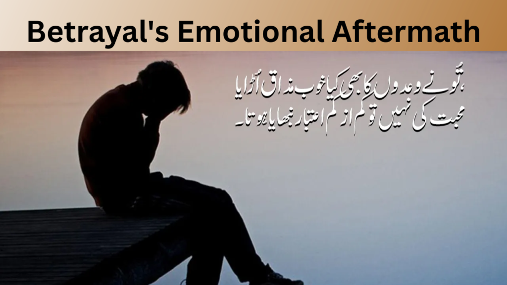 Betrayal's Emotional Aftermath
