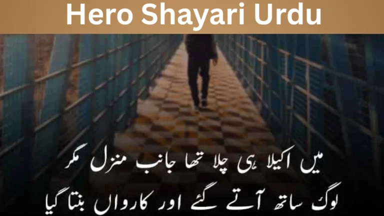 Hero Shayari Urdu