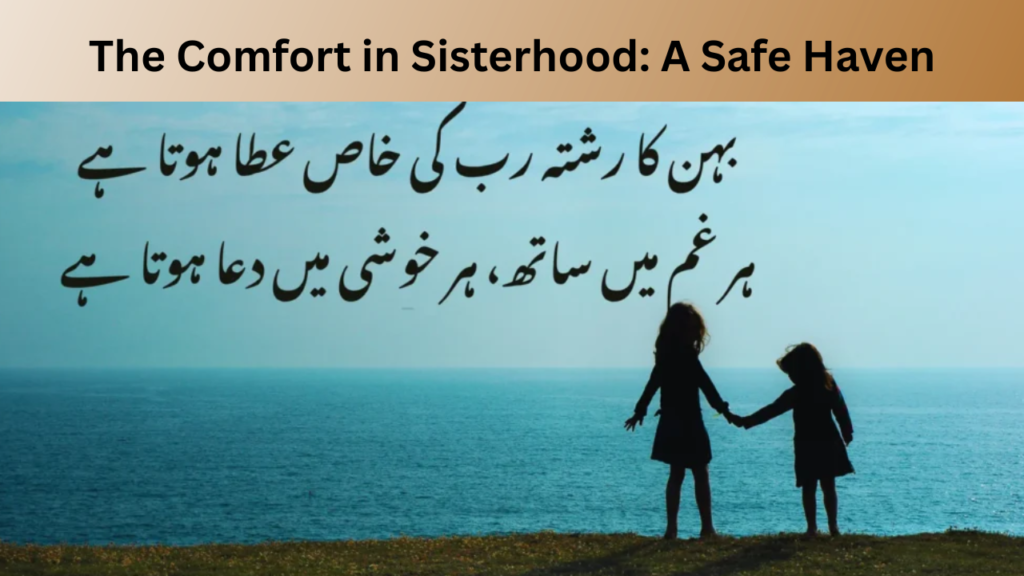 The Comfort in Sisterhood A Safe Haven
