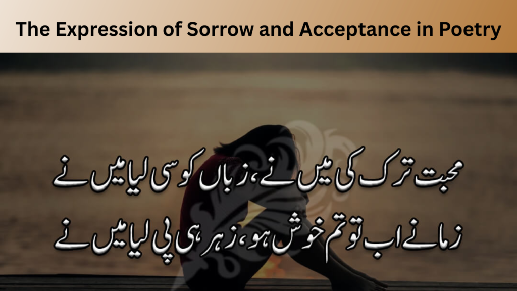 The Expression of Sorrow and Acceptance in Poetry
