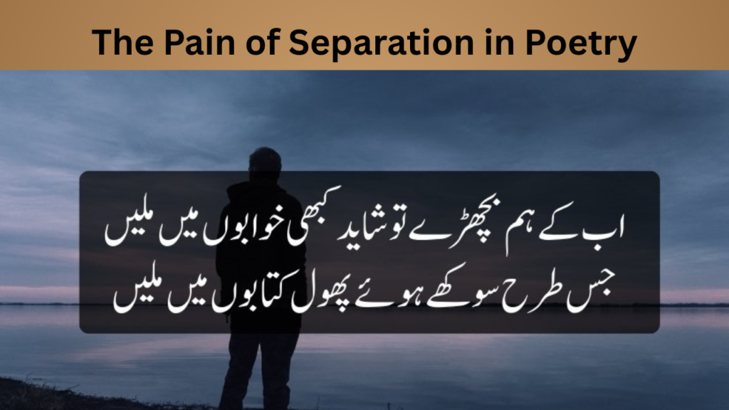 The Pain of Separation in Poetry