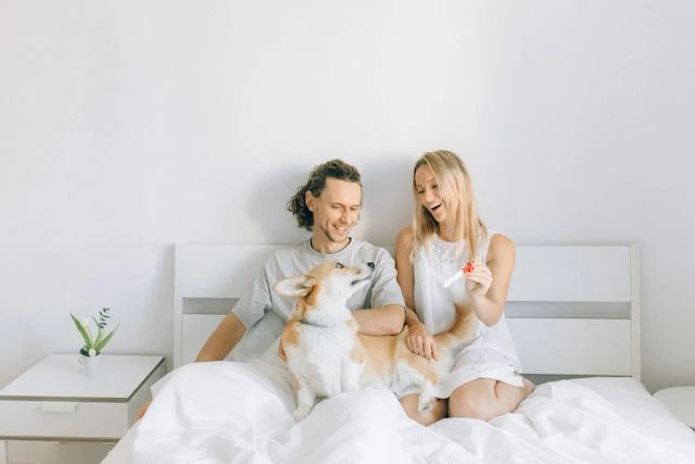 MakeAmom and At-Home Insemination What to Know