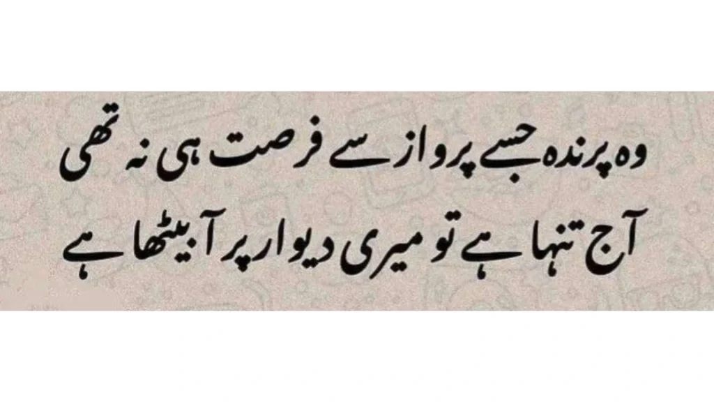 Urdu Poetry in Text