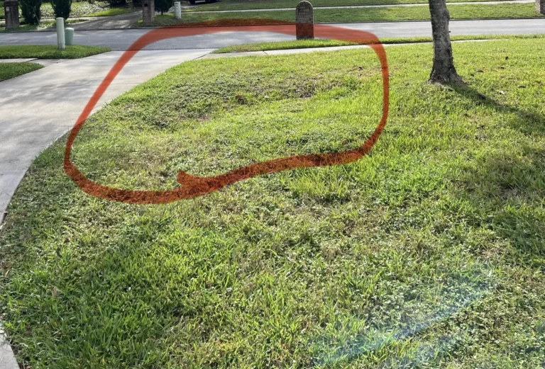 The Sunken Spot In The Side Yard That Becomes A Full Replacement