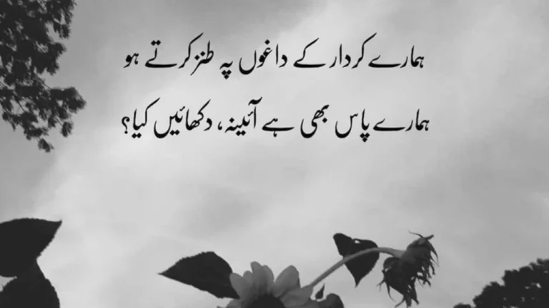 Poetry in Urdu 2 Lines