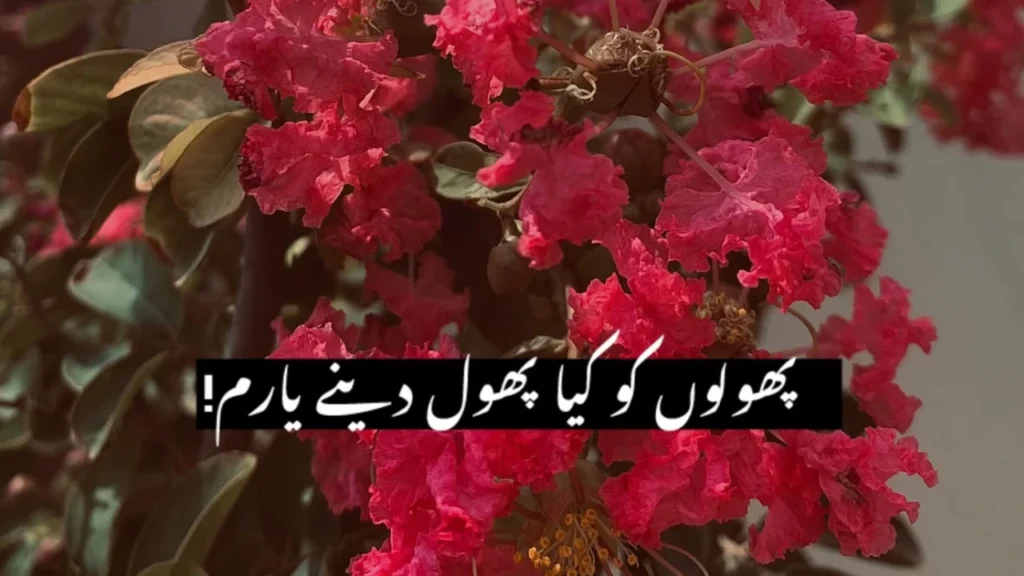 Beautiful Flower Poetry in Urdu