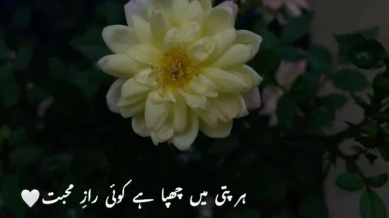 Flower Poetry Shayari