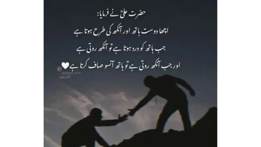 Friendship and Character