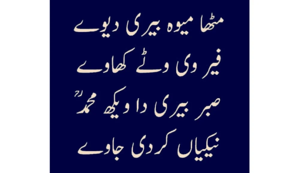 Mian Bakhsh Poetry About Sufi Wisdom